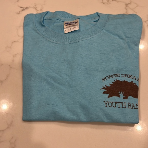 NEW Two (2) Horse Dreams Unisex T-Shirts | Sizes Small & Large | Blue - Picture 5 of 8